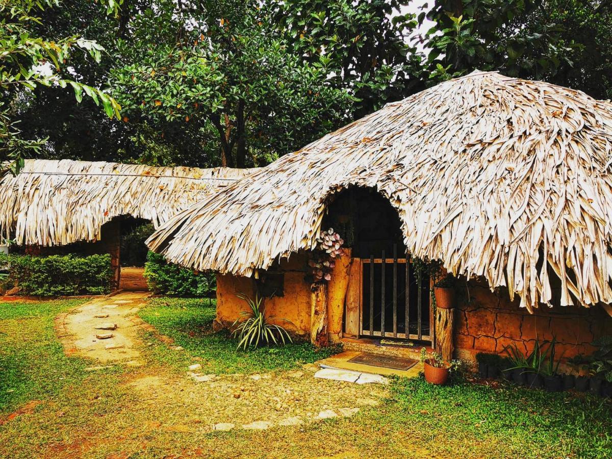 Hasthi Safari Cottage Udawalawe Dış mekan fotoğraf