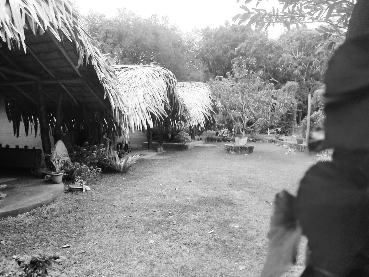 Hasthi Safari Cottage Udawalawe Dış mekan fotoğraf