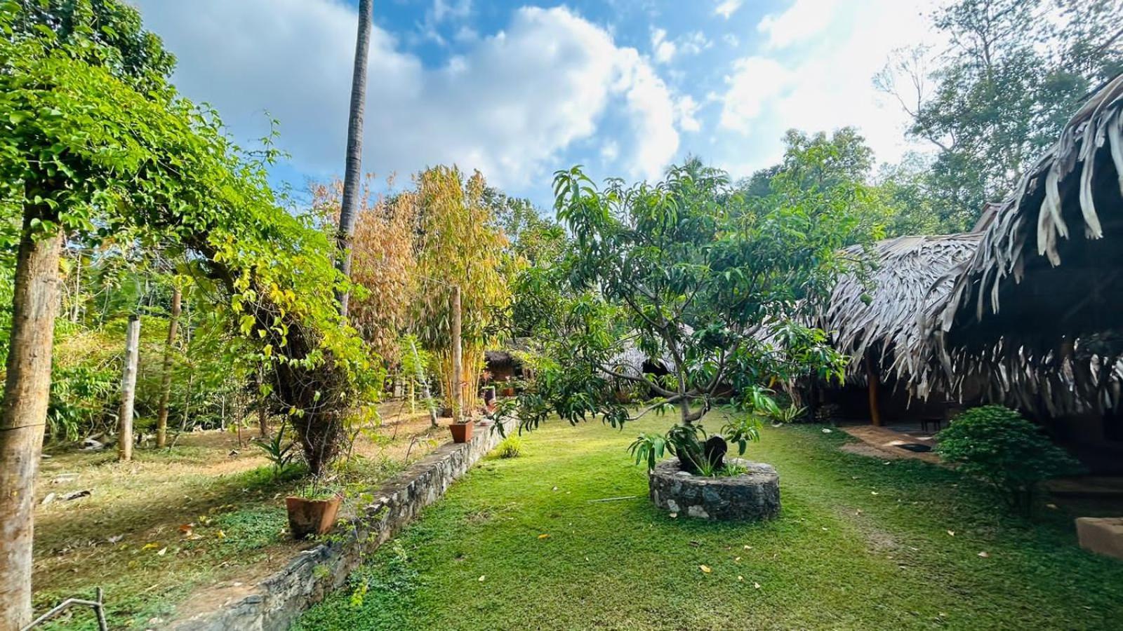 Hasthi Safari Cottage Udawalawe Dış mekan fotoğraf