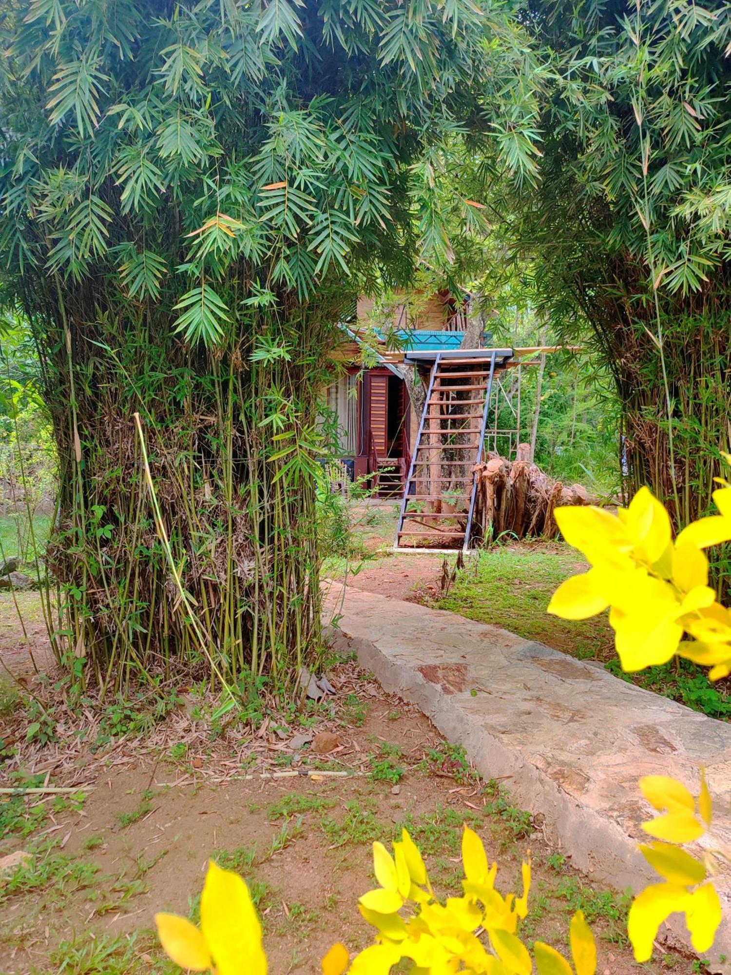 Hasthi Safari Cottage Udawalawe Dış mekan fotoğraf