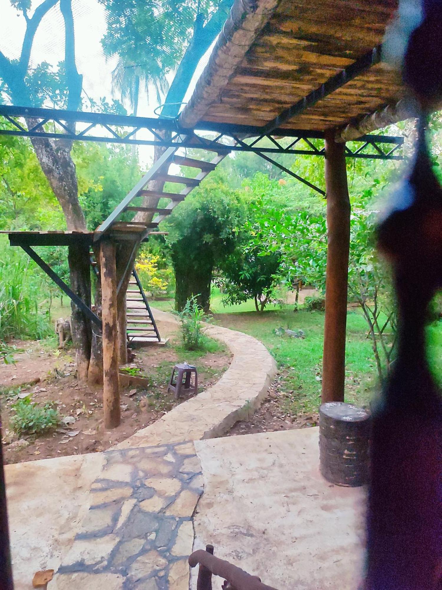 Hasthi Safari Cottage Udawalawe Dış mekan fotoğraf