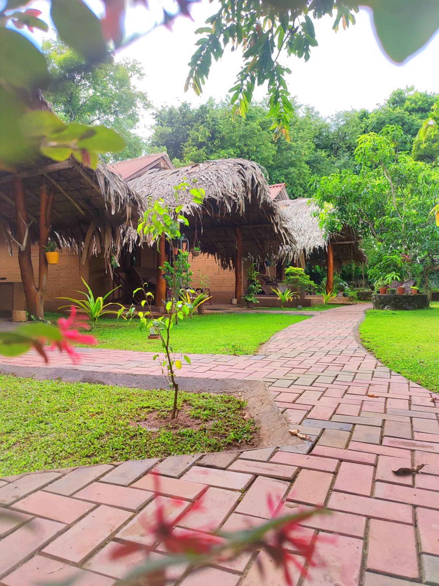 Hasthi Safari Cottage Udawalawe Dış mekan fotoğraf