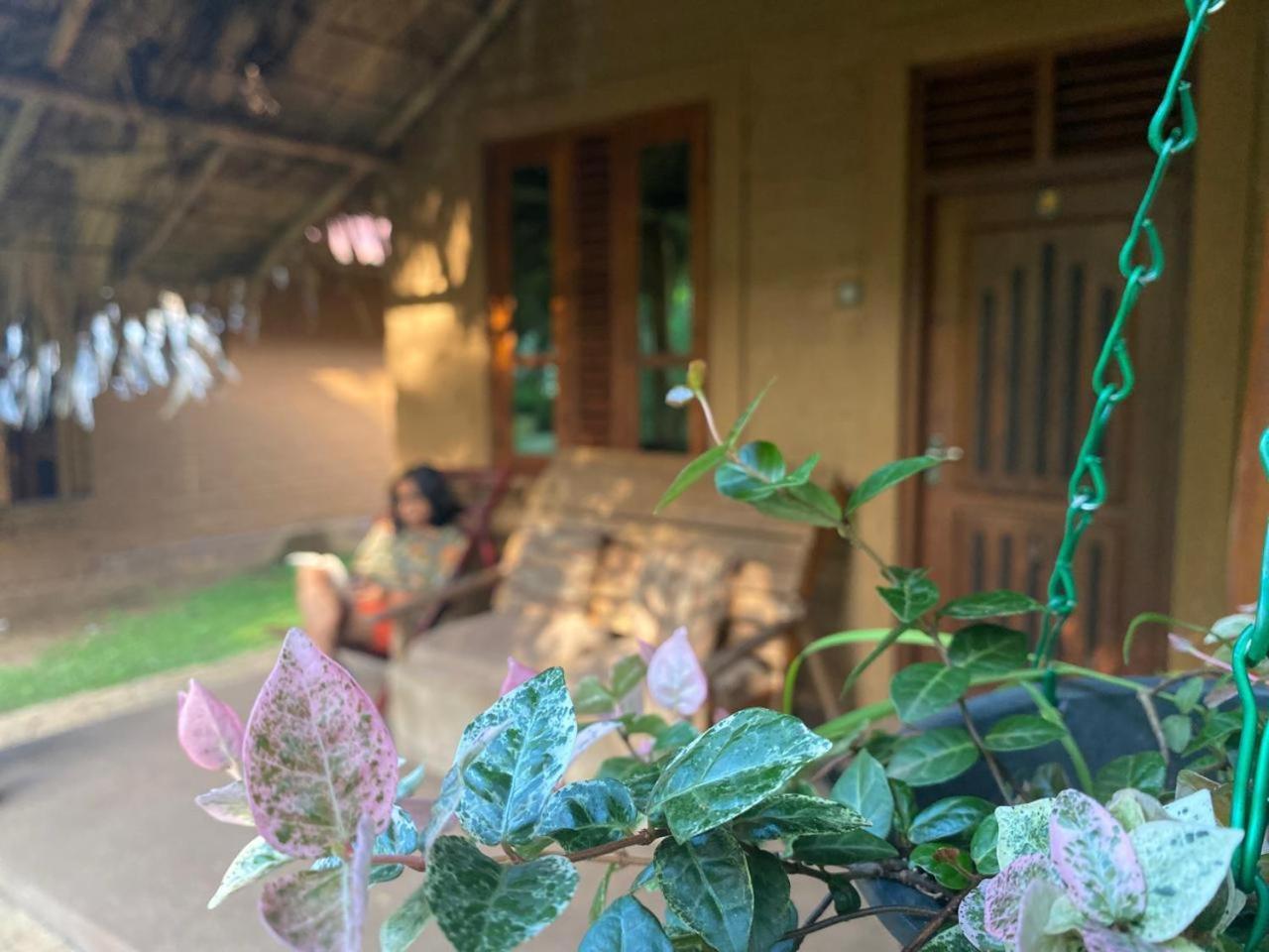 Hasthi Safari Cottage Udawalawe Dış mekan fotoğraf